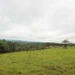 Haras