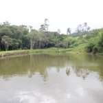 Haras