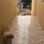 Imóvel #2246