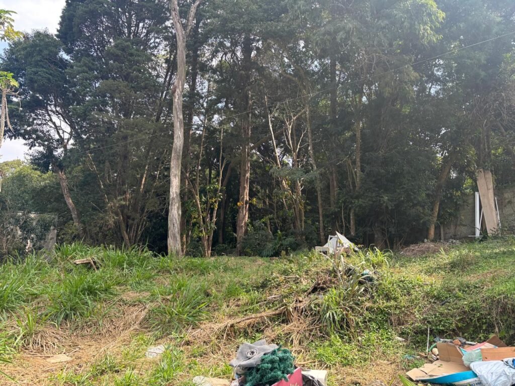 Terreno